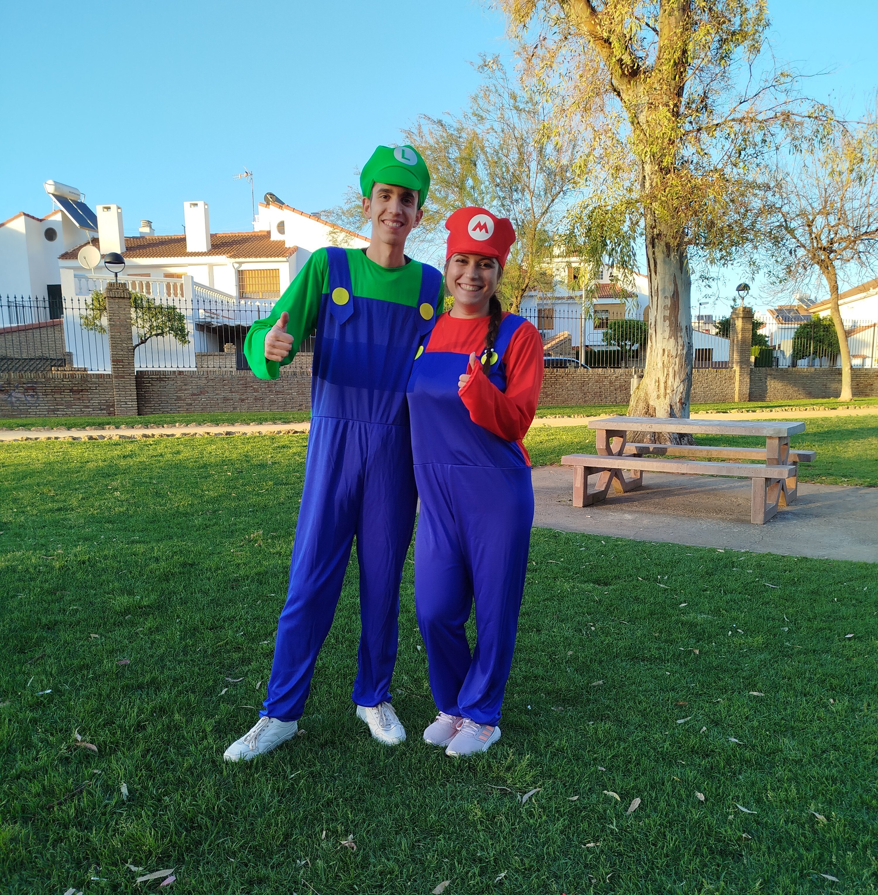 Mario y Luigi